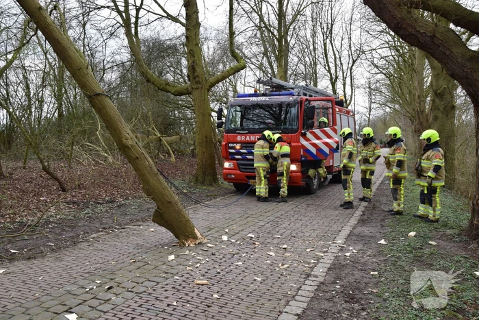 Deel van boom afgebroken door storm