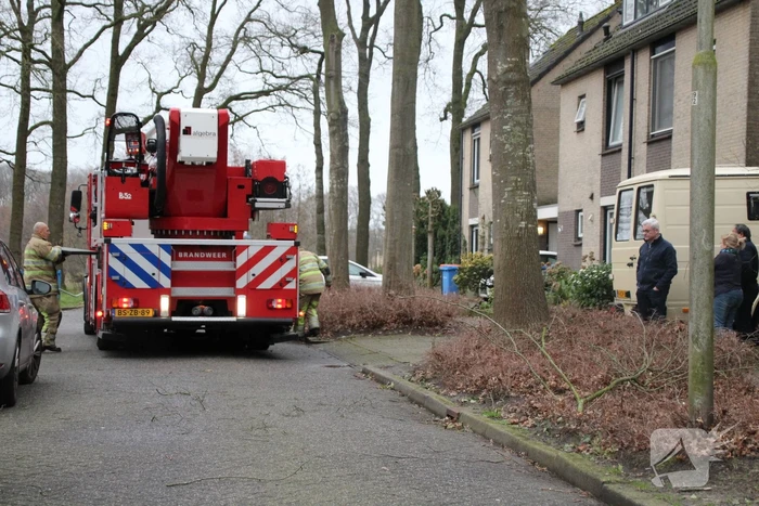 nieuws molenaarlaan hoogland