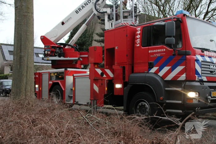 Loshangende takken zorgen voor gevaarlijke situaties