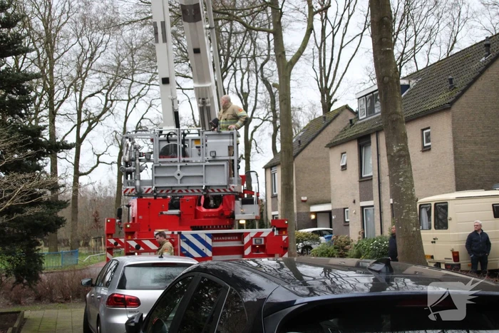 Loshangende takken zorgen voor gevaarlijke situaties