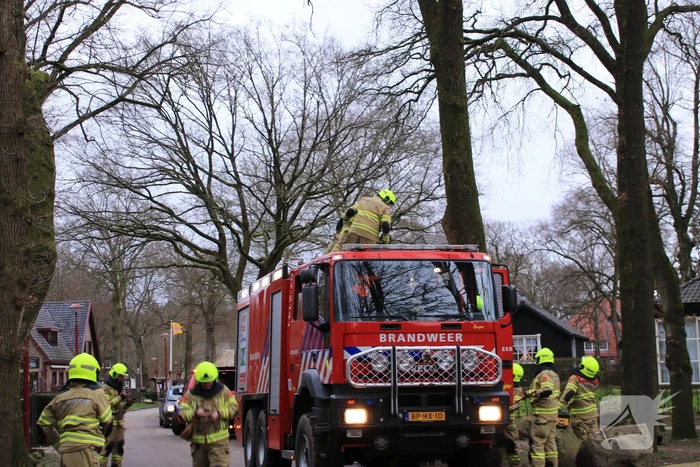 Halsbrekende toeren om tak boven de weg te verwijderen