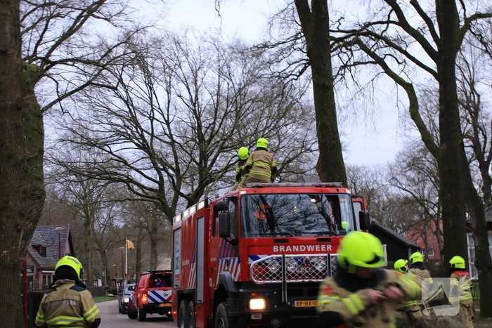 Halsbrekende toeren om tak boven de weg te verwijderen