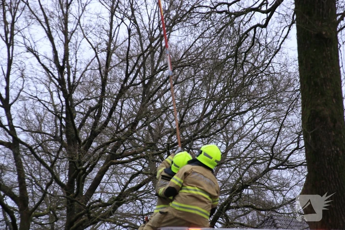 Halsbrekende toeren om tak boven de weg te verwijderen