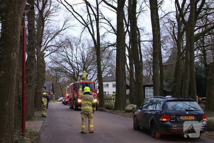 Halsbrekende toeren om tak boven de weg te verwijderen
