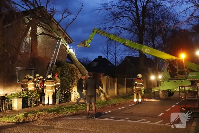 Grote boom valt op woning