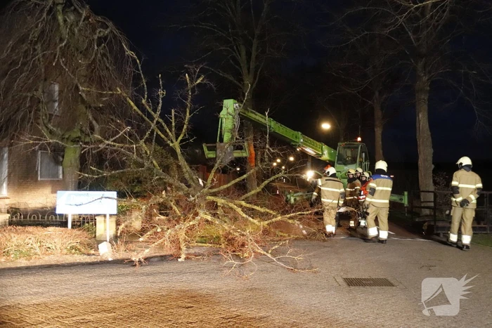 Grote boom valt op woning