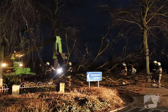 Grote boom valt op woning
