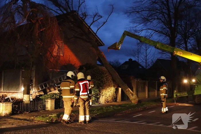 Grote boom valt op woning