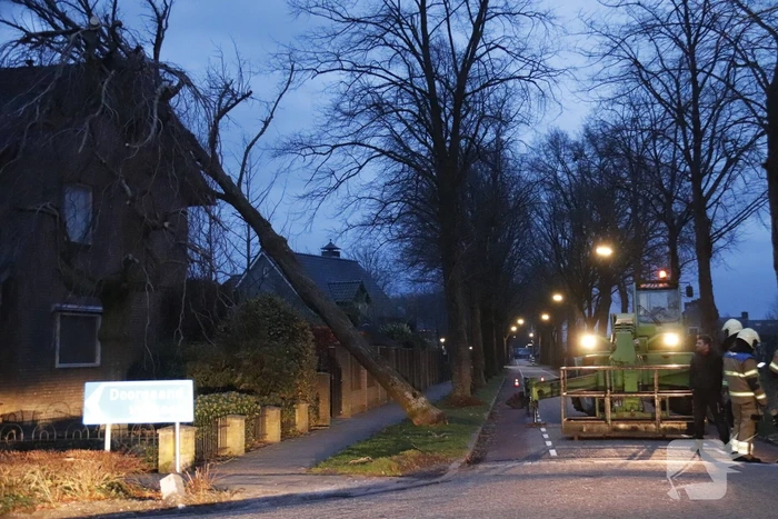Grote boom valt op woning