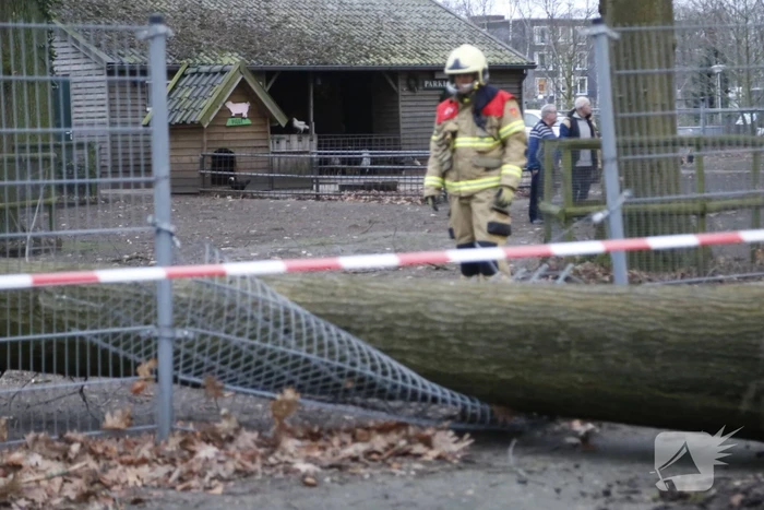 nieuws boekelsedijk uden