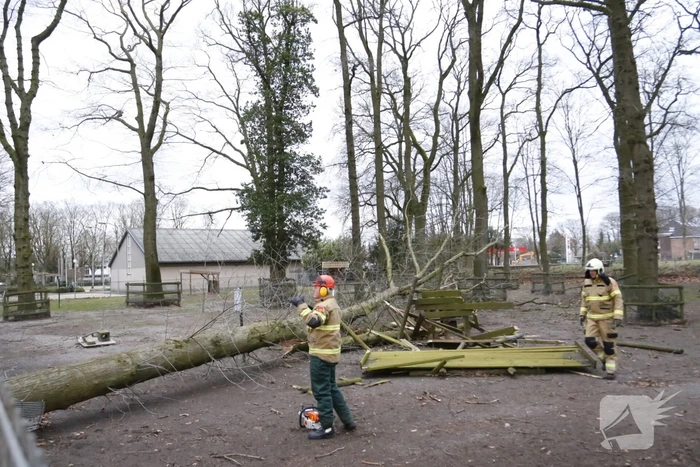 Boom valt door hekwerk van dierenverblijf