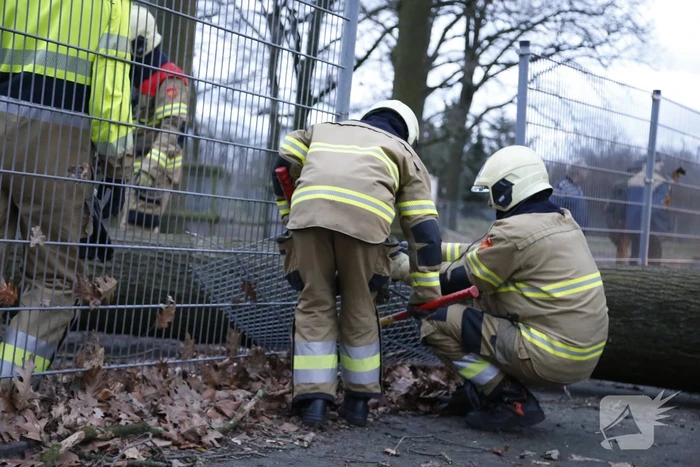 Boom valt door hekwerk van dierenverblijf