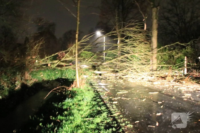 Afgebroken boom verspert weg