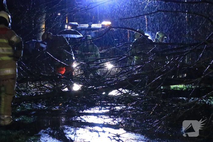 Afgebroken boom verspert weg