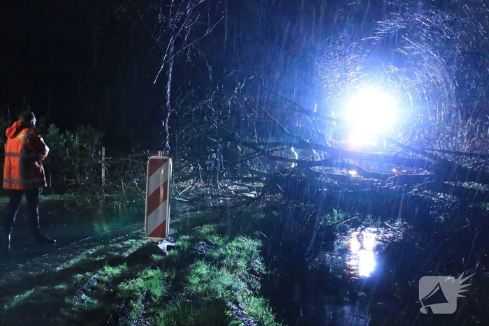 Afgebroken boom verspert weg