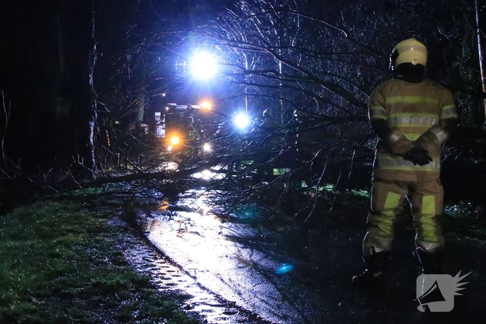 Afgebroken boom verspert weg