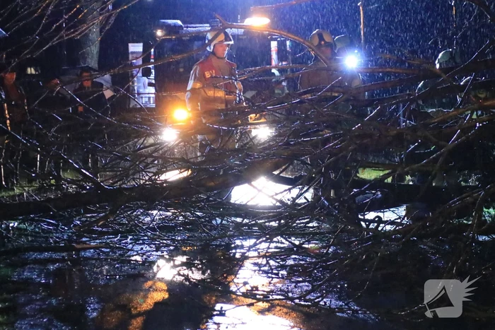 Afgebroken boom verspert weg