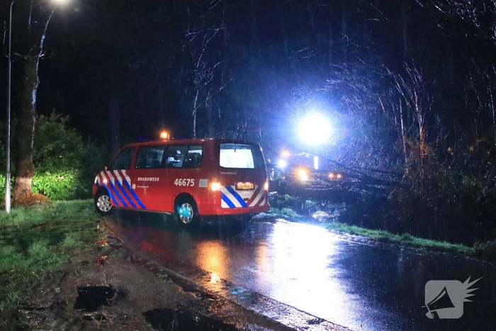 Afgebroken boom verspert weg