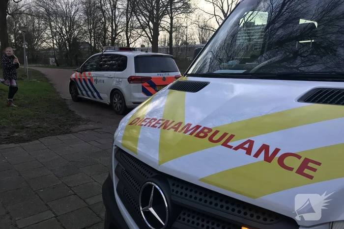 Kinderen vangen samen met politie ontsnapte hond
