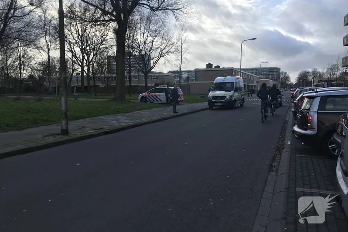 Kinderen vangen samen met politie ontsnapte hond