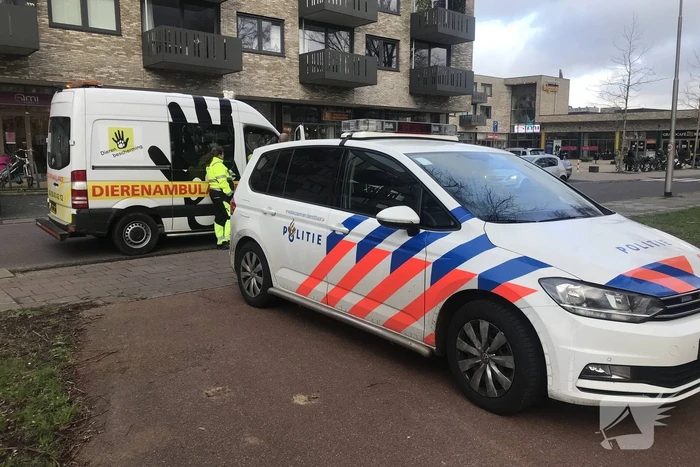 Kinderen vangen samen met politie ontsnapte hond