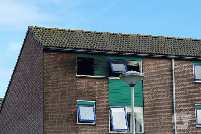 brand wilgehout boskoop