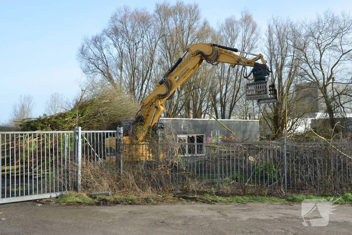 Bomen gerooid voor nieuw Cambuur Stadion