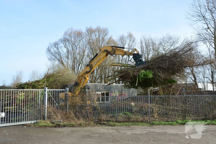 Bomen gerooid voor nieuw Cambuur Stadion