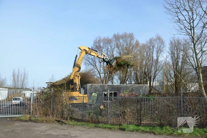 Bomen gerooid voor nieuw Cambuur Stadion