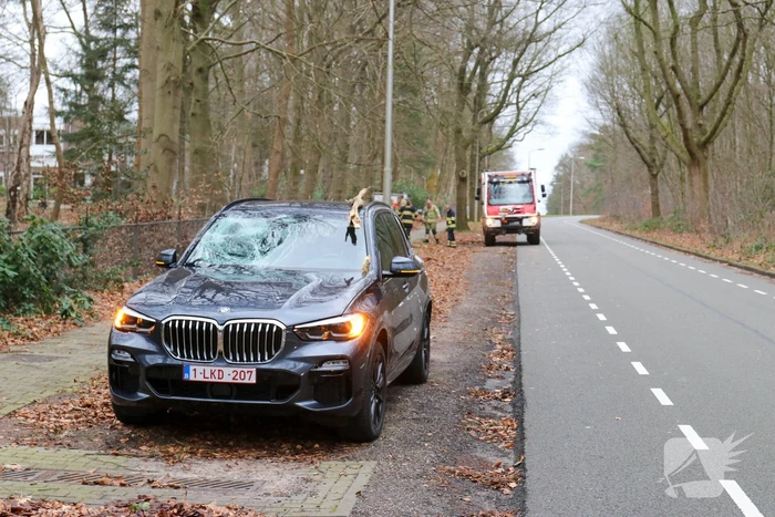 Peperdure BMW fors beschadigd door omgevallen boom