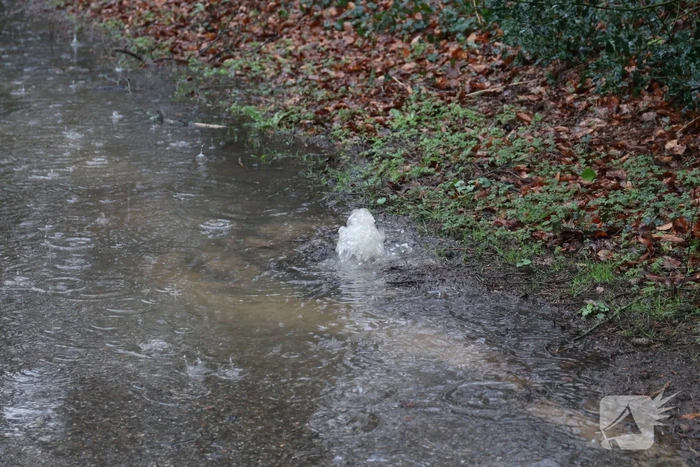 Straat blank na waterleidingbreuk