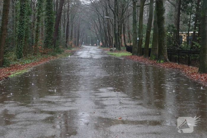 Straat blank na waterleidingbreuk
