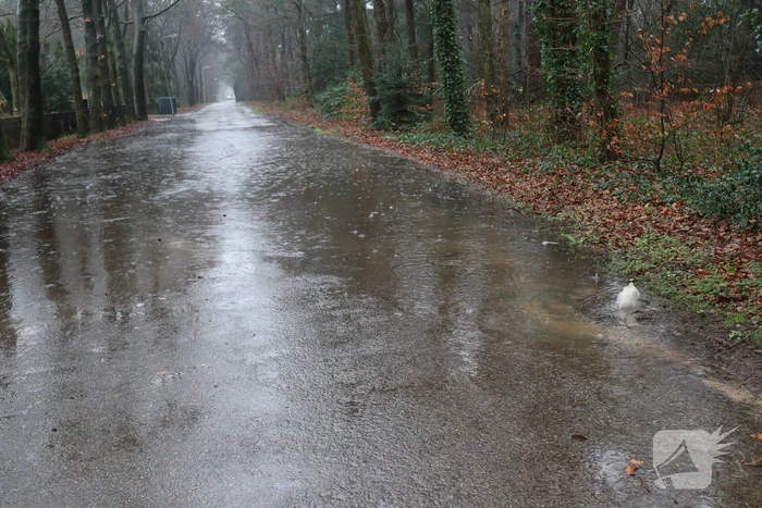 Straat blank na waterleidingbreuk