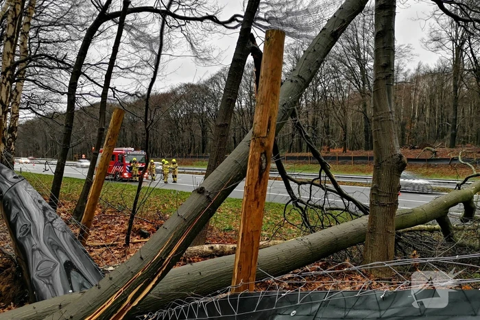 natuur rijksweg a12 bennekom
