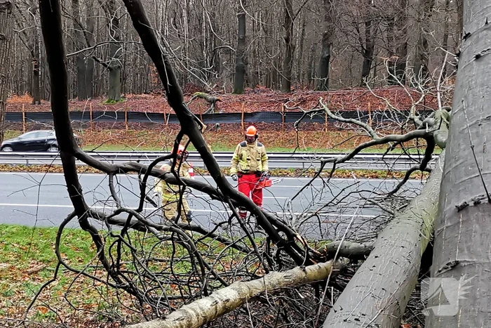 Bomen naast snelweg omgevallen door storm