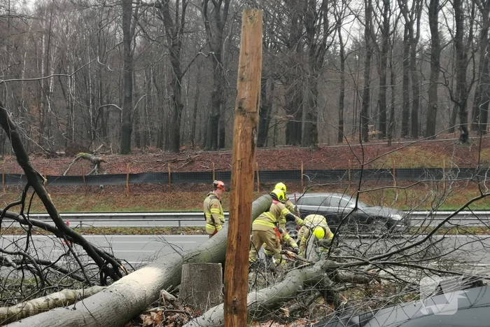 Bomen naast snelweg omgevallen door storm
