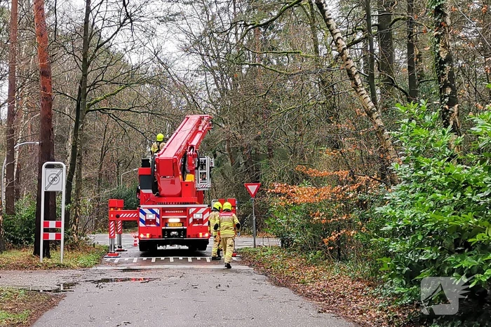 nieuws marterlaan wageningen