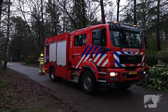 Brandweer verwijderd scheefstaande boom