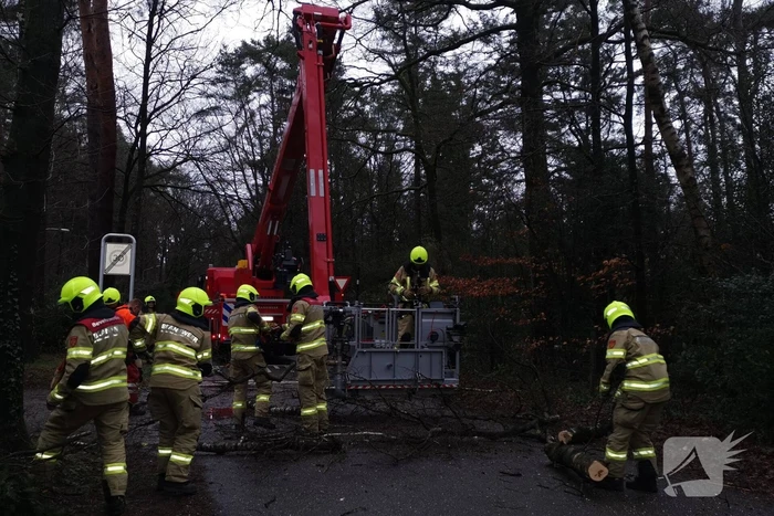 Brandweer verwijderd scheefstaande boom