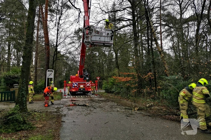 Brandweer verwijderd scheefstaande boom