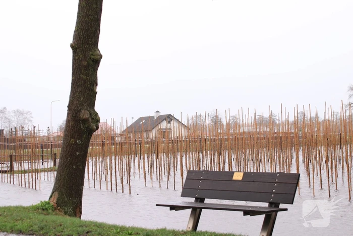natuur otterloseweg - n801 wekerom
