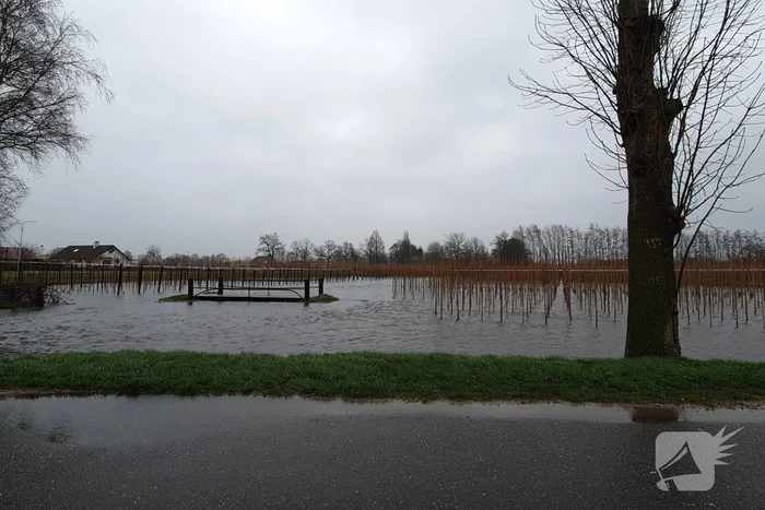 Weiland en fietspad volgelopen na fikse regenbui