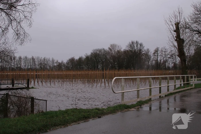 Weiland en fietspad volgelopen na fikse regenbui