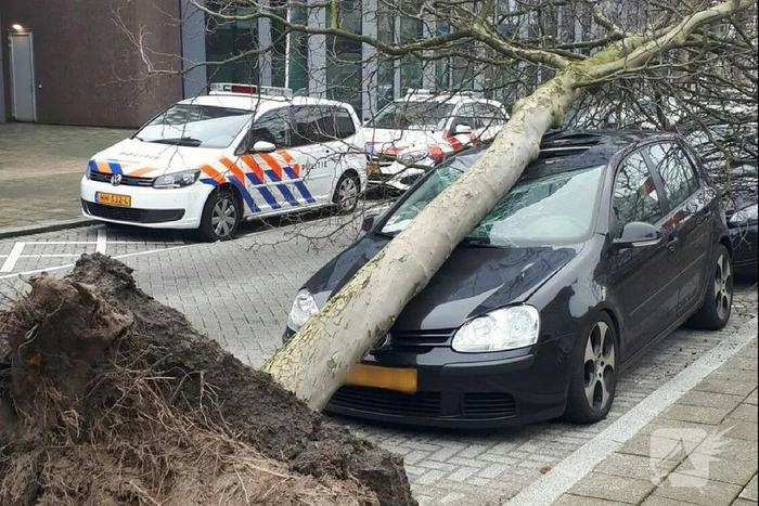 Boom valt op geparkeerde auto's naast politiebureau