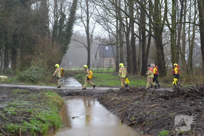 nieuws bosweg bergschenhoek