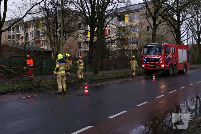 Boom valt om over rijbaan