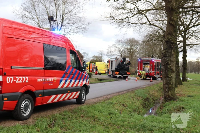 Bestuurder omgekomen na frontale botsing tegen boom