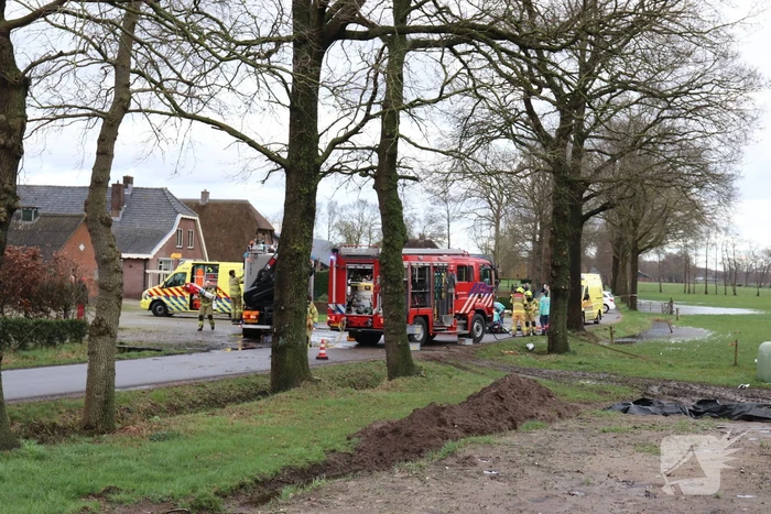 Bestuurder omgekomen na frontale botsing tegen boom