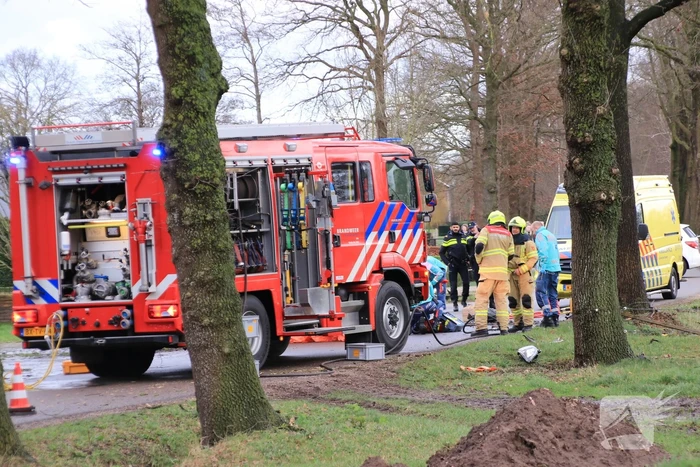 Bestuurder omgekomen na frontale botsing tegen boom