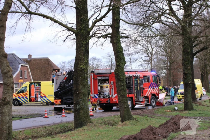 Bestuurder omgekomen na frontale botsing tegen boom